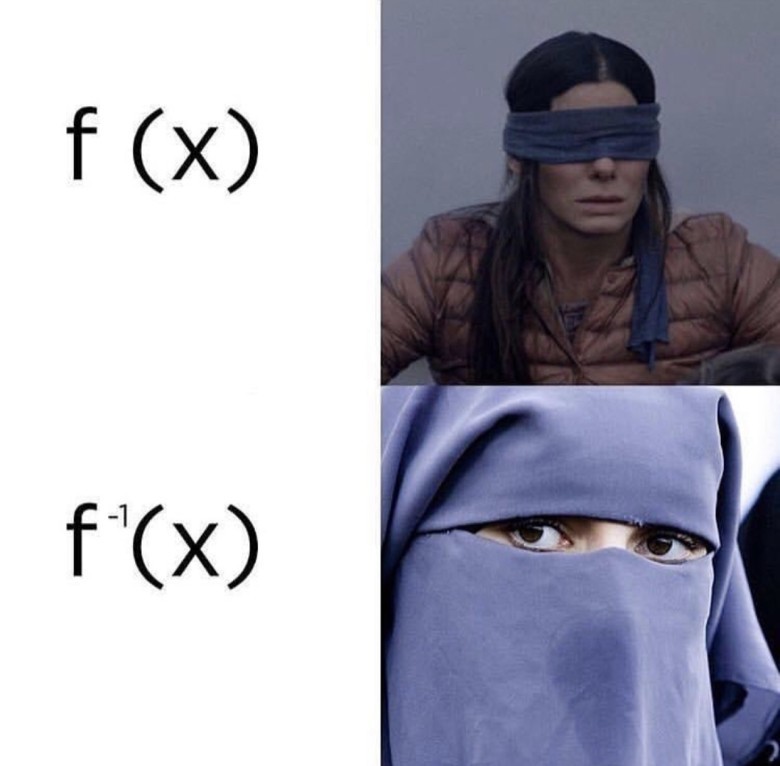 Meme #3: Another meme humorously contrasts a slide and a ramp to explain inverse functions. The slide represents the function f(x), and the ramp represents its inverse f⁻¹(x).