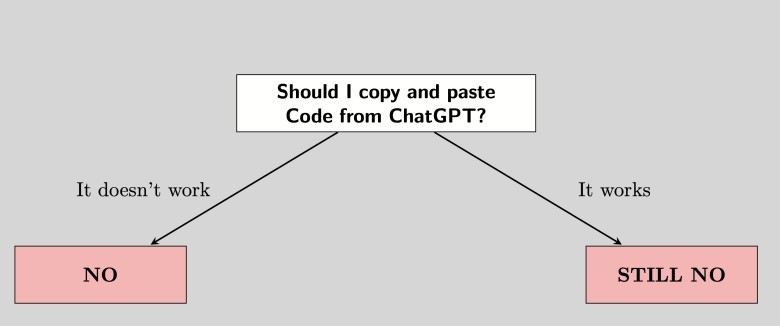 meme #4 : Copying AI Code: A Workflow Between Genius and Disaster