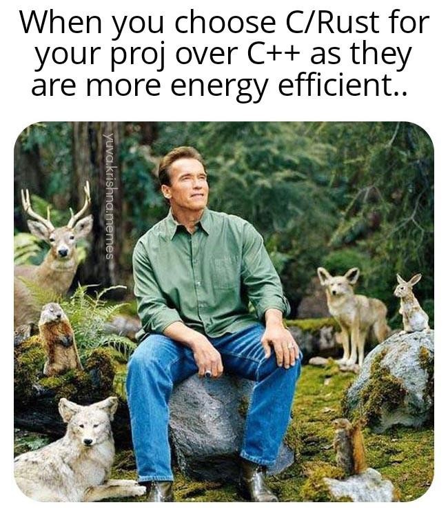 A meme comparing C and Rust programming languages to energy-efficient and eco-friendly computing, symbolizing memory efficiency, low CPU usage, and sustainable software development.