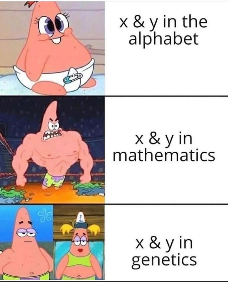 Meme #3 : You're Not Alone: Why We All Secretly Rejoice Leaving Algebra Behind