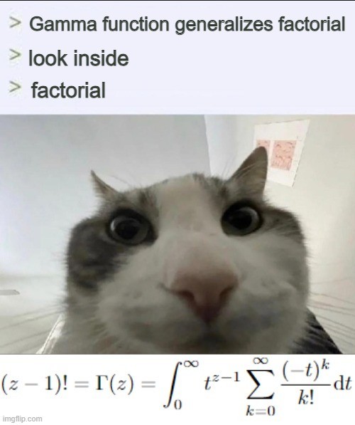 A meme showing a close-up image of a cat looking directly at the camera, with text above referencing the gamma function generalizing the factorial function. The meme humorously combines a cute animal with a complex mathematical concept