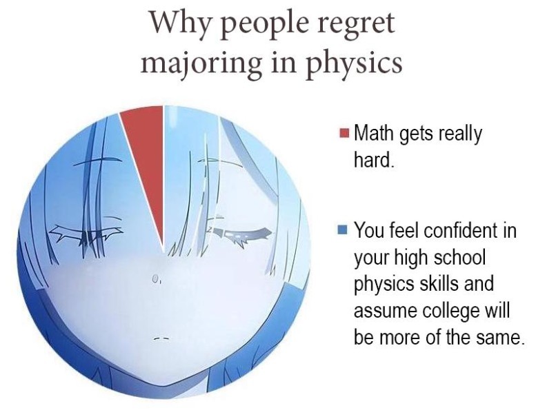 A meme showing an anime-style character with a sad expression, with text explaining why people regret majoring in physics: 'Math gets really hard' and 'You feel confident in your high school physics skills and assume college will be more of the same