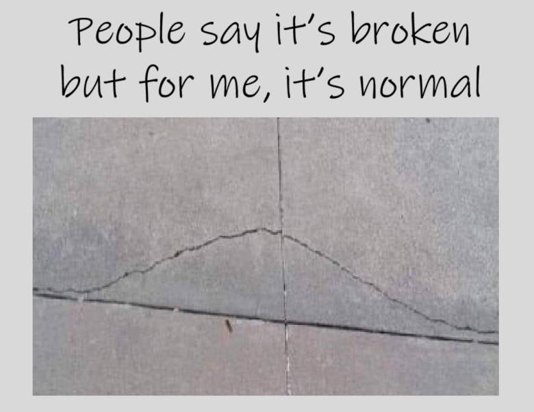 Meme showing a sidewalk crack that perfectly illustrates a normal distribution curve, with a caption suggesting that what others see as flawed, a mathematician sees as a familiar statistical pattern