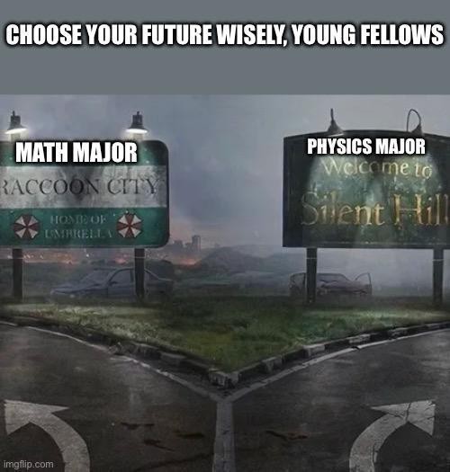 A meme depicting a fork in a desolate road, with two ominous street signs. One sign points left to 'MATH MAJOR Raccoon City' (from Resident Evil), and the other points right to 'PHYSICS MAJOR Welcome to Silent Hill.' The top caption reads: 'CHOOSE YOUR FUTURE WISELY, YOUNG FELLOWS,' humorously implying that both math and physics degrees lead to challenging, 'survival horror' academic paths