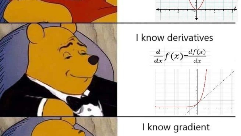 Winnie-the-Pooh Explains Calculus Concepts: A Humorous Take on Parabolas, Derivatives, and Gradients