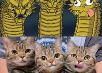 When You’re in a Serious Squad… But One Friend is Built Different 