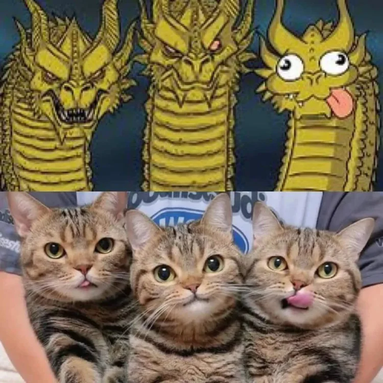 When You’re in a Serious Squad… But One Friend is Built Different 