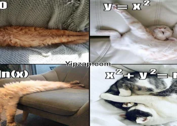 Laugh and Learn: 6 Clever Memes That Make School Subjects Fun