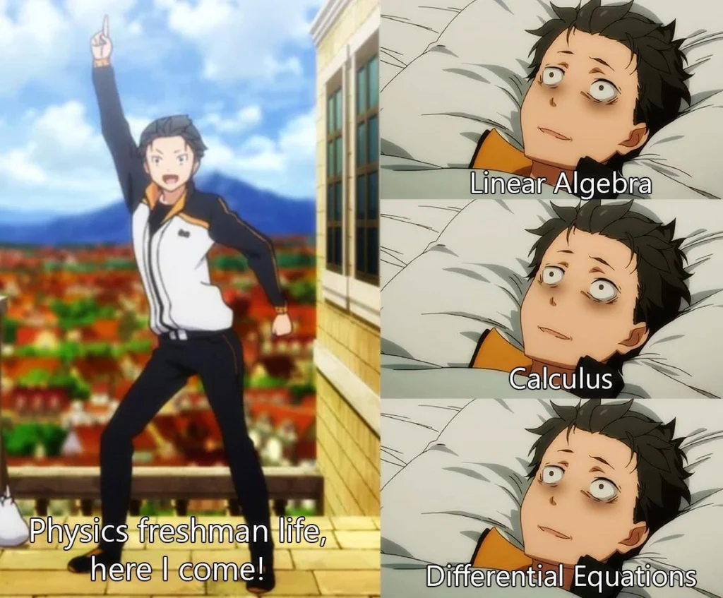 Four-panel meme showing a student excited to start physics, then overwhelmed by linear algebra, calculus, and differential equations.