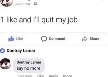 1 like and I will quit my job meme