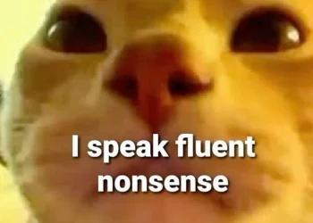 Top 3 Cat Memes That Broke the Internet