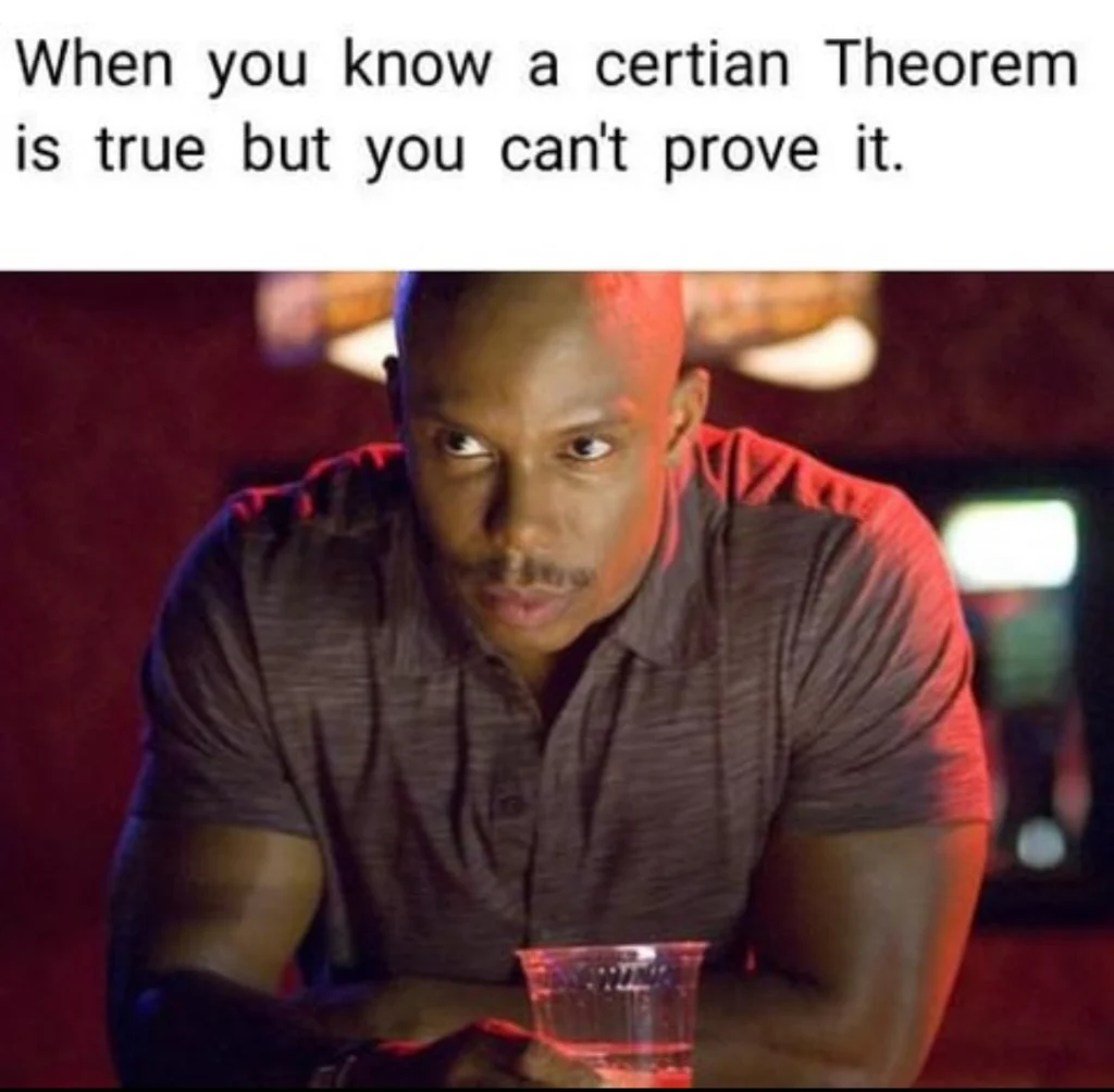Man at a bar looking serious with the caption: “When you know a certain theorem is true but you can’t prove it.”