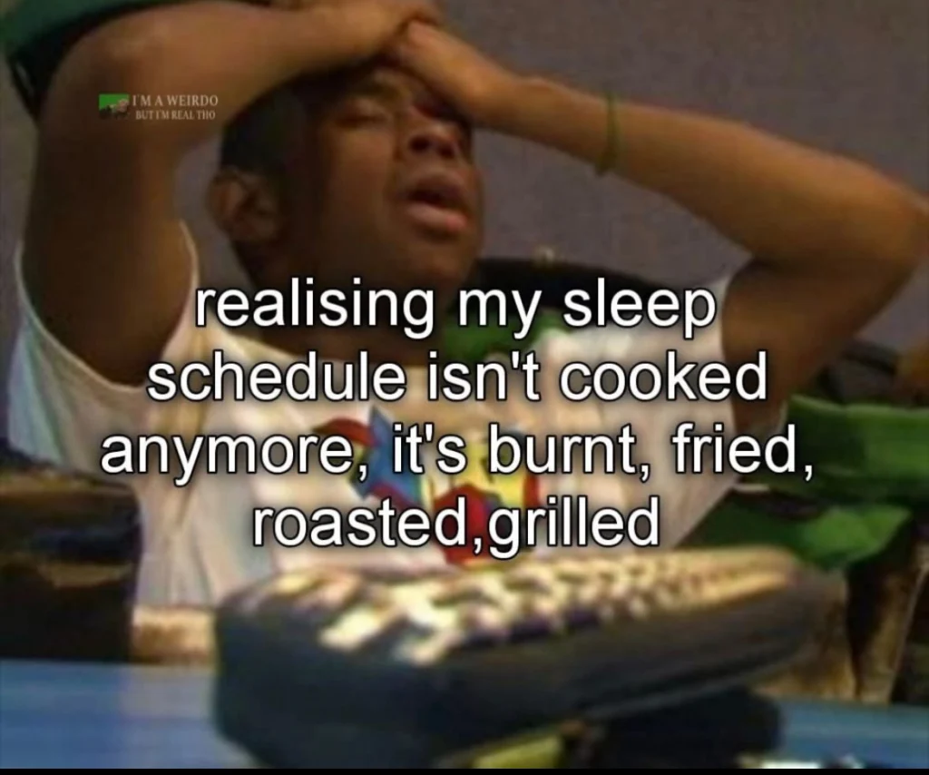 A person with hands on their face, looking stressed, with text overlay saying "realising my sleep schedule isn't cooked anymore, it's burnt, fried, roasted, grilled."