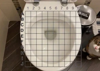 Toilet Coordinate Challenge maths meme