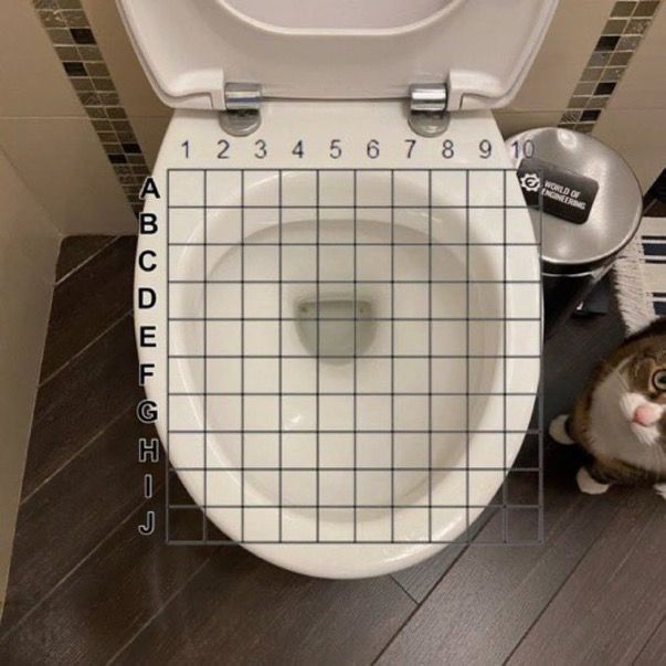 A quirky photo featuring a toilet with a grid (A-J, 1-10) and a curious cat, encouraging users to pick and share their coordinates for a lighthearted game
