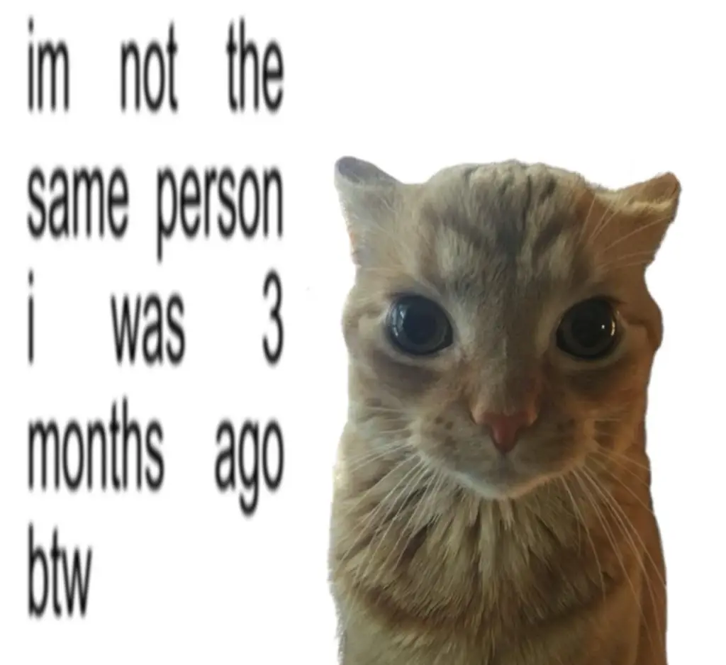  A close-up of a wide-eyed orange tabby cat with text overlay saying "im not the same person i was 3 months ago btw," highlighting personal transformation.