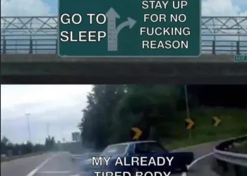 Relatable Meme: Choosing Between Sleep and Staying Up Late