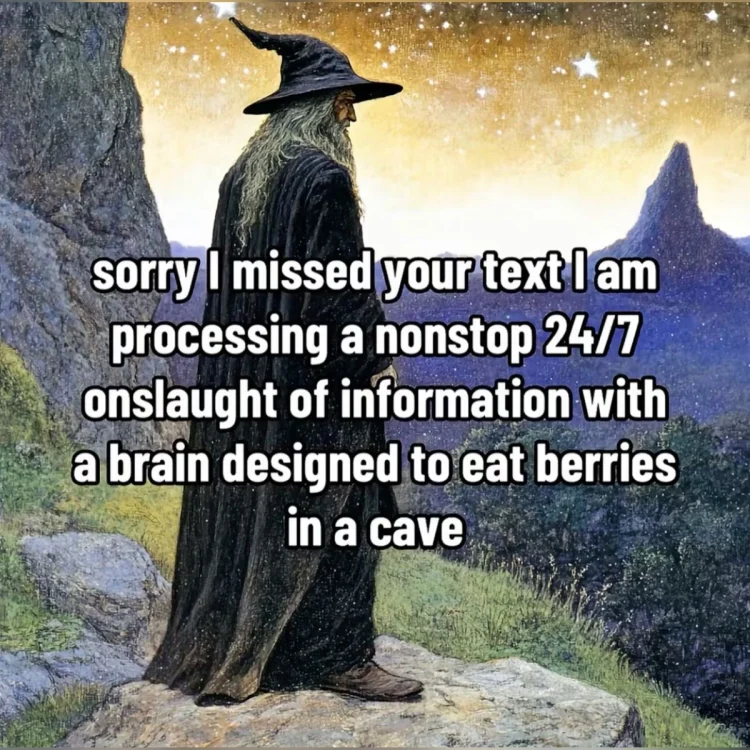 When ADHD Takes Your Thoughts: And It’s Gone Meme Moment