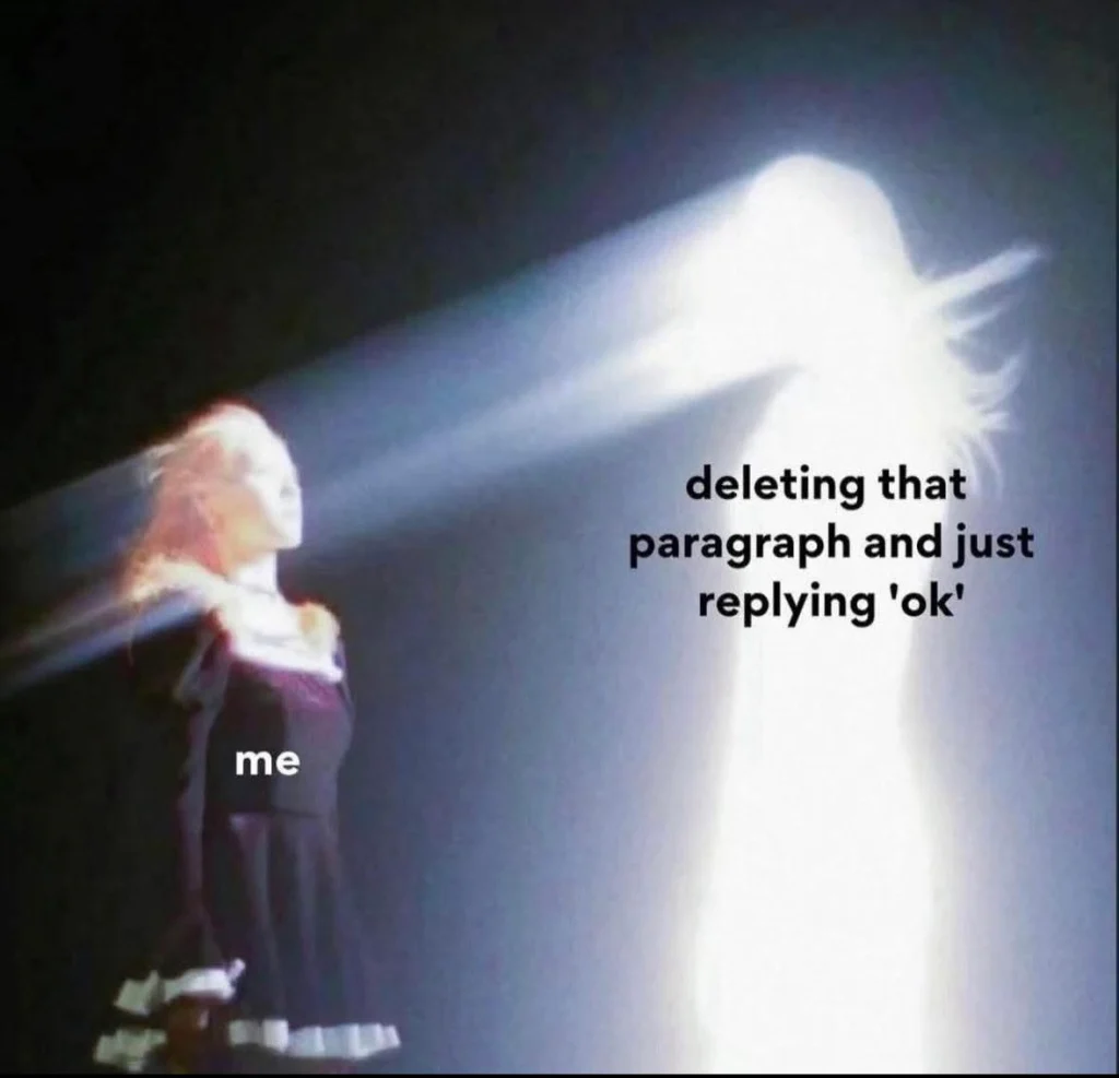 person deletes a message and replies with only “ok” in a chat conversation Meme 