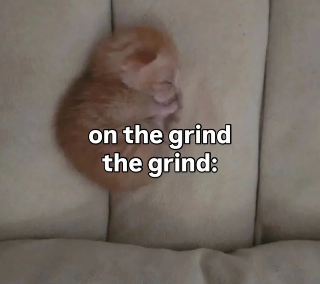 Cat yelling at salad – classic confusion!