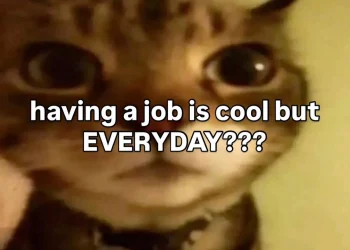 Top 10 Cutest Cat Memes and Pics That Will Instantly Brighten Your Day