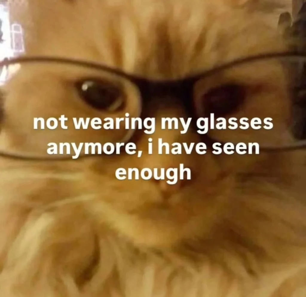 Cat wearing glasses