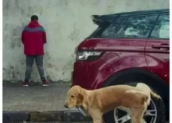 Top 10 Funniest Newton’s Third Law Memes That Perfectly Explain Physics