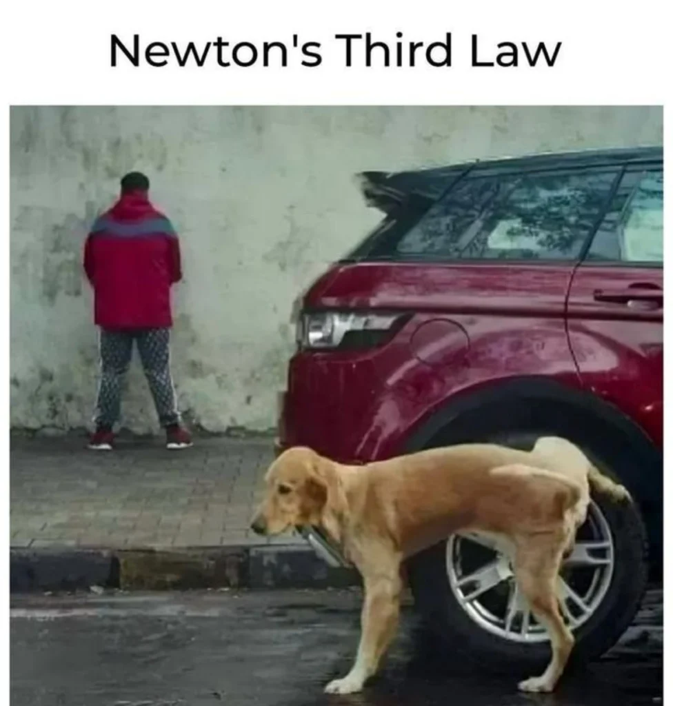 Funny meme of a man peeing on a wall while a dog pees on a car tire, labeled Newton’s Third Law of Motion.