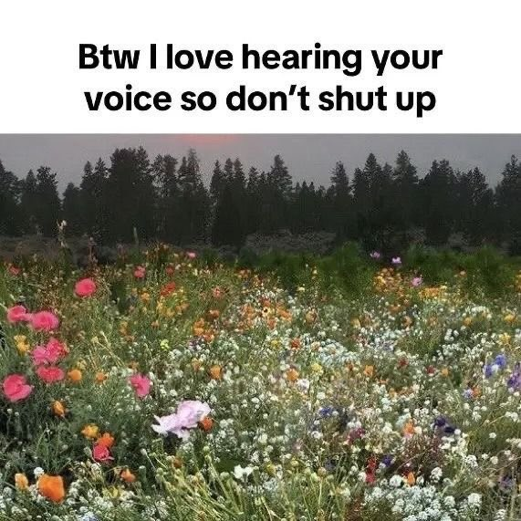 A colorful field of wildflowers with trees in the background and the text “Btw I love hearing your voice so don’t shut up” at the top.