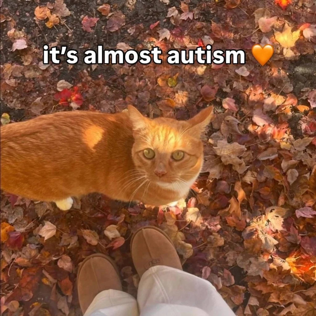 A photo from a first-person perspective looking down at an orange cat standing on a bed of colorful autumn leaves. A person's feet, wearing brown slippers and white pants, are visible at the bottom of the frame. White text at the top says "it's almost autism" with an orange heart emoji.
