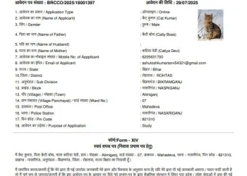 India Unique Residential Certificate Issued in Name of Cat Kumar