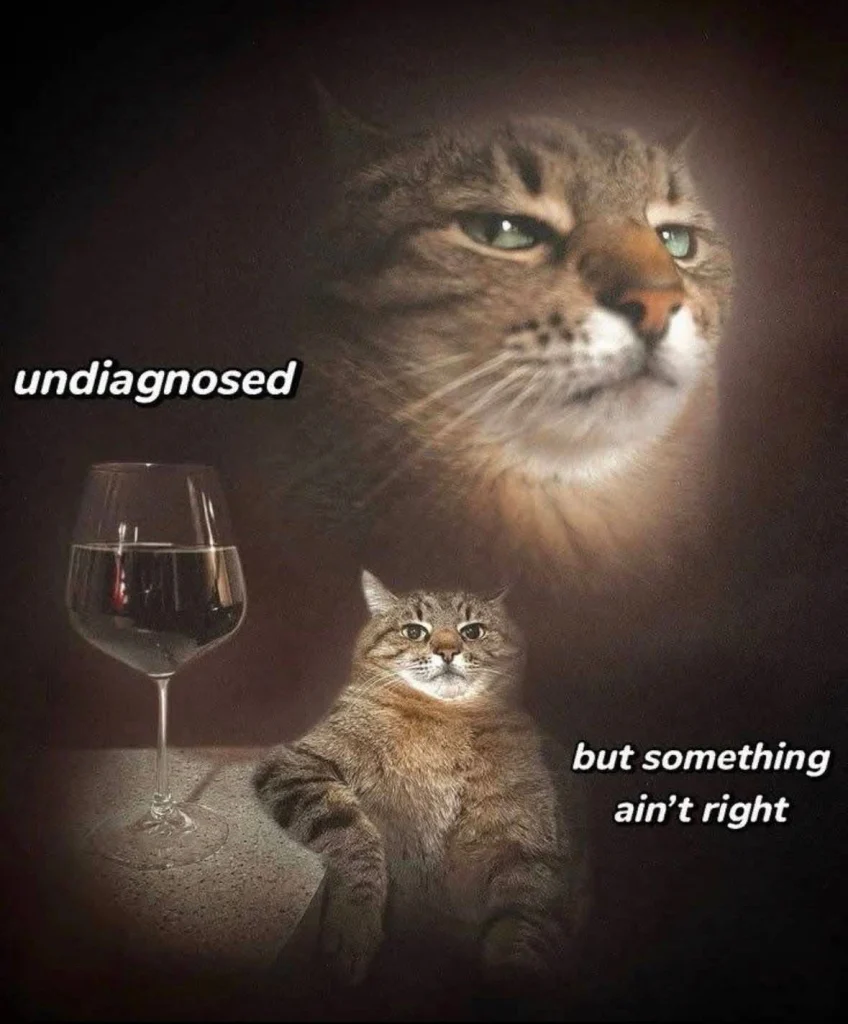 Funny meme of a tabby cat labeled “undiagnosed” in one frame, and “but something ain’t right” in another, sitting beside a glass of wine.