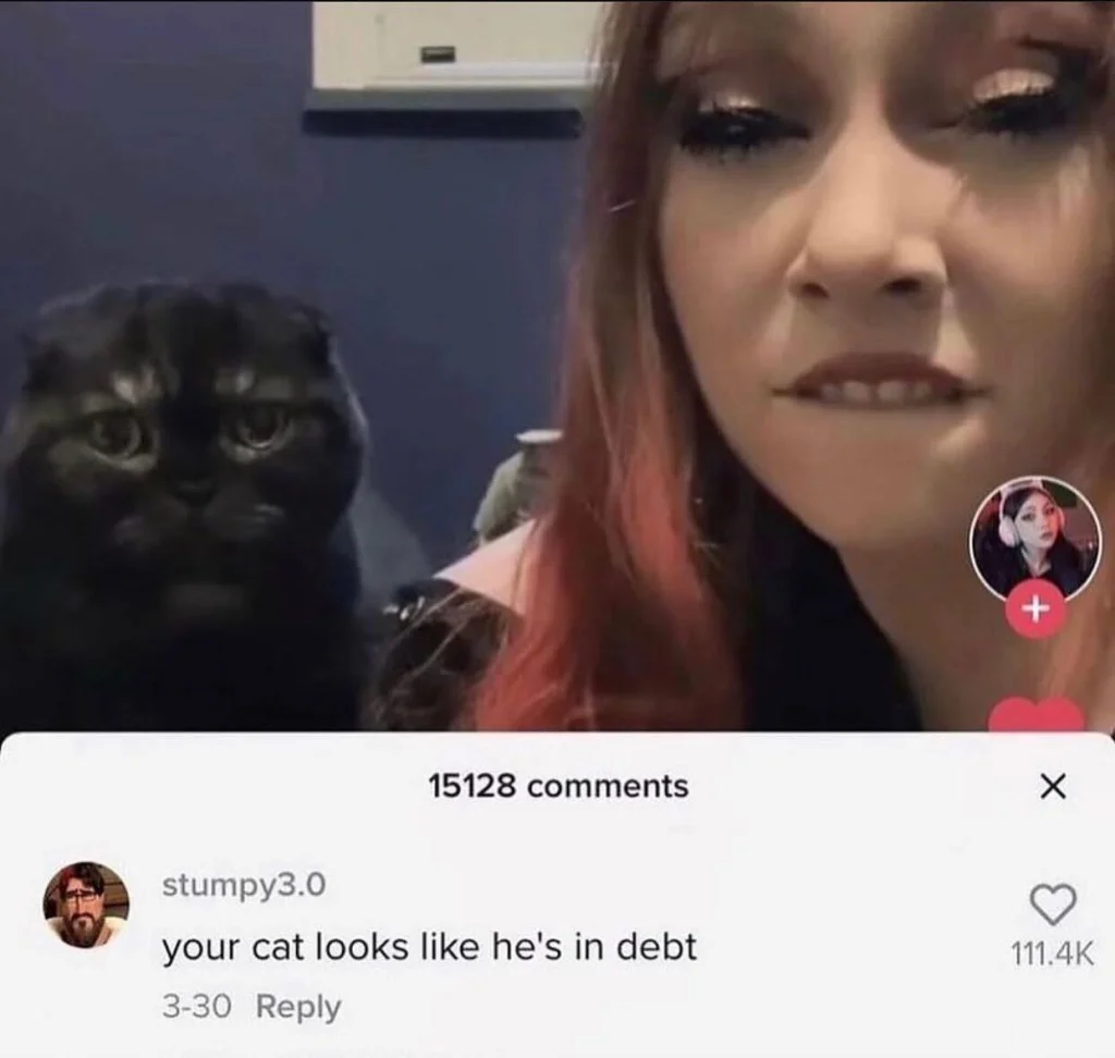 Black cat with serious face next to a person. Comment says: “Your cat looks like he’s in debt.”