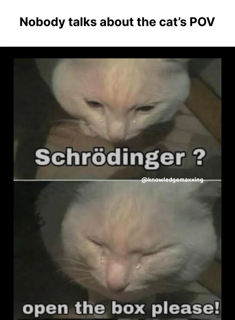 meme showing a sad cat reacting to Schrödinger’s thought experiment, asking to open the box and end the mystery.