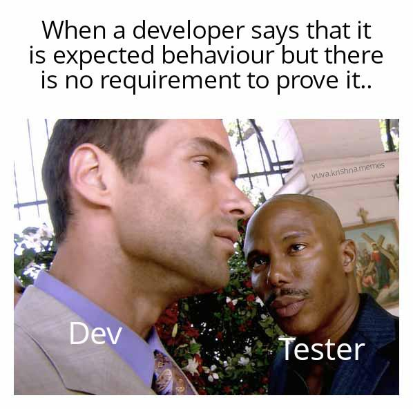 A tester listens closely to a developer who says something is normal, but there is no rule to show it. The tester looks confused and ready to ask questions.