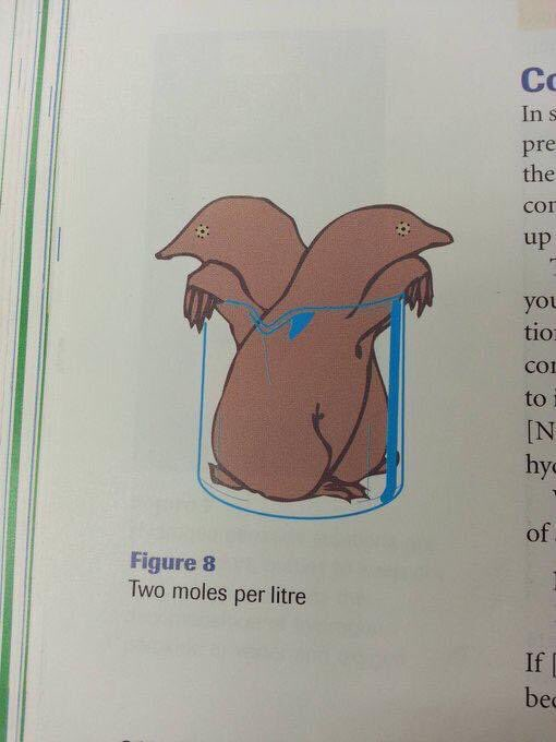 Two cartoon moles sit in a glass beaker. Text says “Two moles per litre.” It’s a science joke.