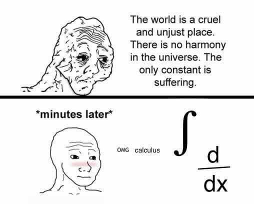 A sad face says life is cruel. Minutes later, the same face smiles at a calculus symbol: ∫ (d/dx). It’s a joke about math making life better.