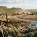 Endangered Species Act, wildlife protection, habitat exemptions, mining, oil and gas drilling, monarch butterfly, conservation policy, extinction risk
