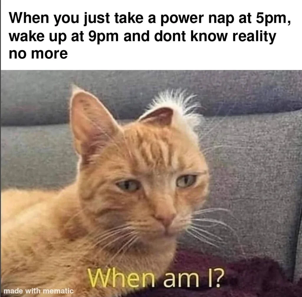 Funny confused orange cat meme about taking a power nap at 5pm, waking up at 9pm, and not knowing reality anymore, captioned "When am I?" — a relatable Tuesday meme.