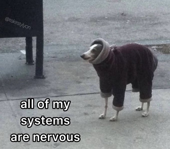 Nervous looking dog wearing a full body sweater outdoors, with text joking that all of its systems are nervous, relatable to ADHD anxiety