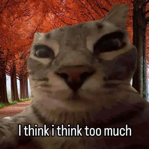 Blurry close up of a wide eyed cat in an autumn forest setting, with text saying I think I think too much