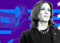 Democratic Lawmakers Prepare Project 2029 Social Media Ban