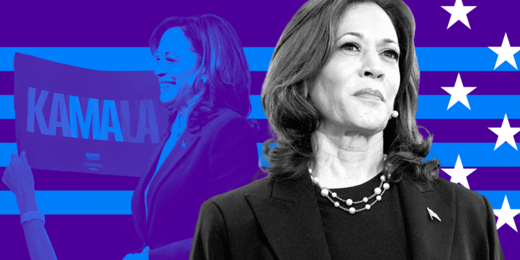 Democratic Lawmakers Prepare Project 2029 Social Media Ban