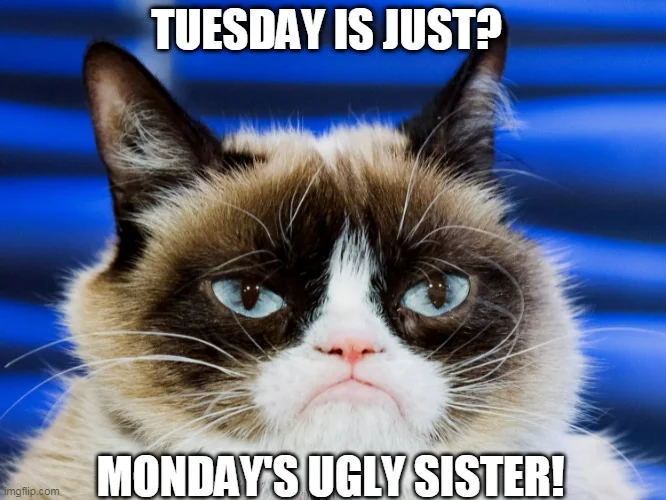Grumpy Cat Tuesday meme with text "Tuesday is just? Monday's ugly sister!" — a sarcastic viral meme about disliking the start of the workweek.