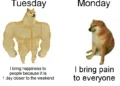 From confused cats to escalating Vince McMahon reactions, these 9 funny Tuesday memes capture every mood of the day. Enjoy the internet's best relatable Tuesday humor, all in one hilarious roundup.