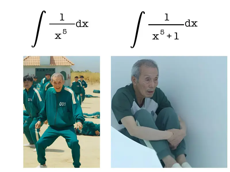 Funny calculus integration math meme