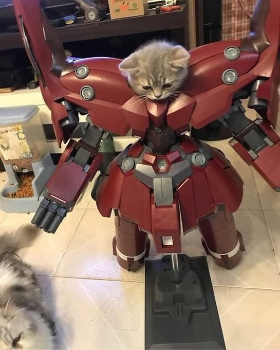 Cute kitten sitting inside a red Gundam robot suit model meme