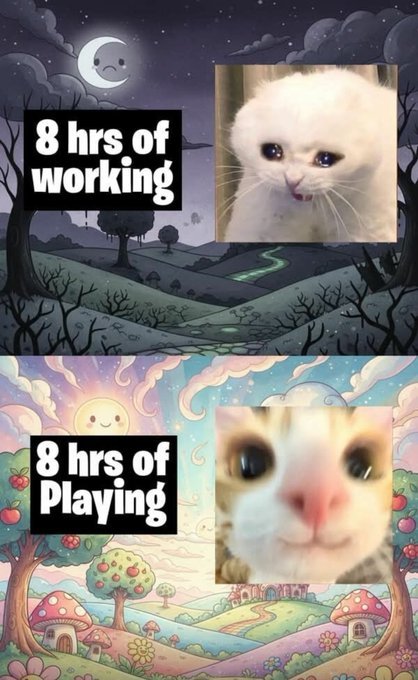 Meme comparing 8 hours of working with crying cat face vs 8 hours of playing with happy cat face