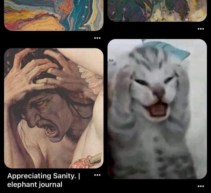 Side by side comparison between a dramatic renaissance painting and a screaming cat holding its head