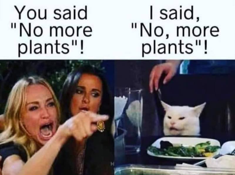 Woman yelling at a cat meme about a misheard request for no more plants versus no comma more plants